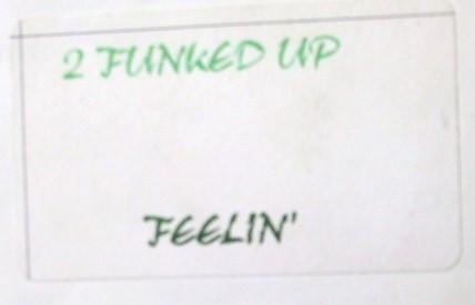 2 Funk'd Up - Feelin'