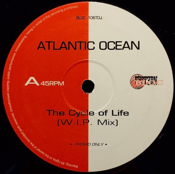 Atlantic Ocean - The Cycle Of Life
