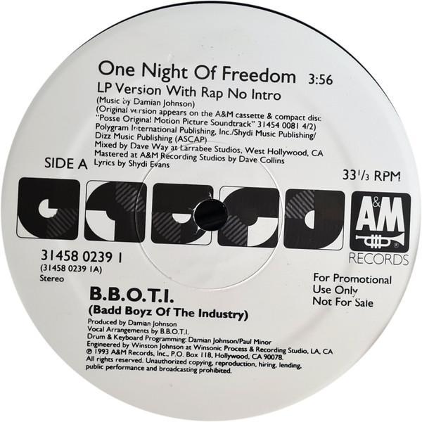 Badd Boys Of The Industry - One Night Of Freedom