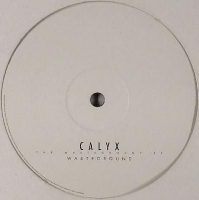 Calyx - The Wasteground EP
