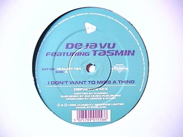 Deja Vu (2), Tasmin - I Don't Want To Miss A Thing