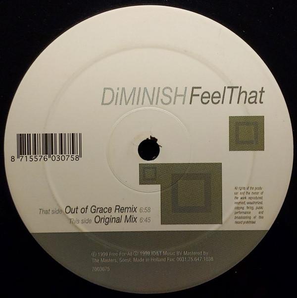 Diminish - Feel That