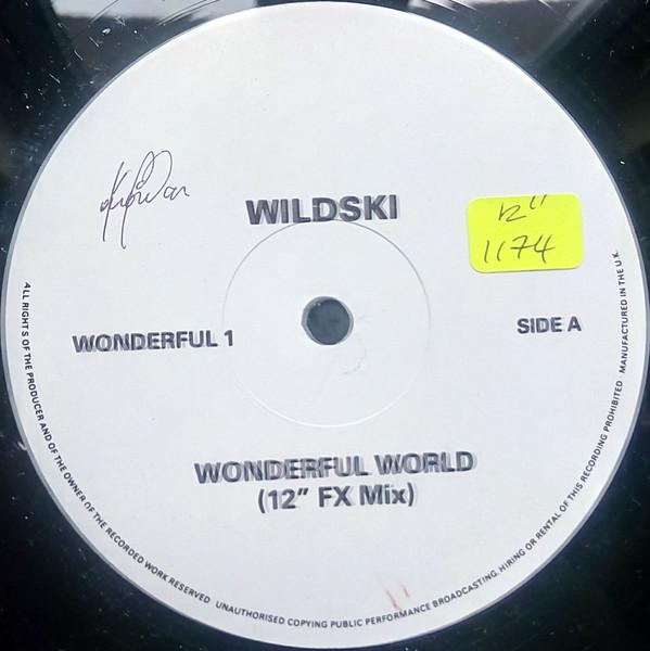 MC Wildski - Wonderful World