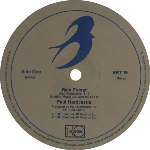 Paul Hardcastle - Rain Forest / Forest Fire
