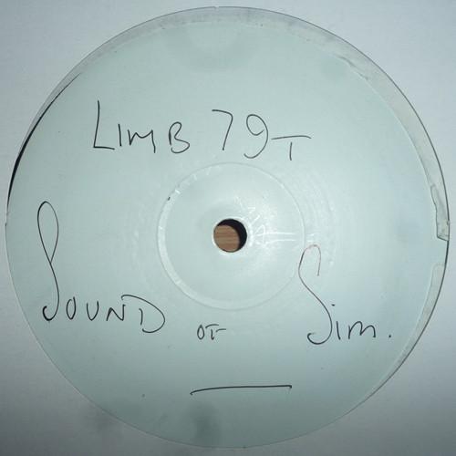 Roland Klinkenberg, Franco & Grimm - Sound Of Sim EP