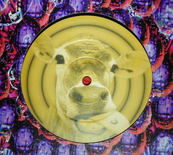 Slapper - The Cowboy Song