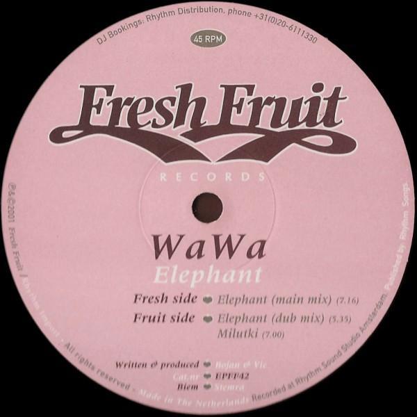 Wawa - Elephant